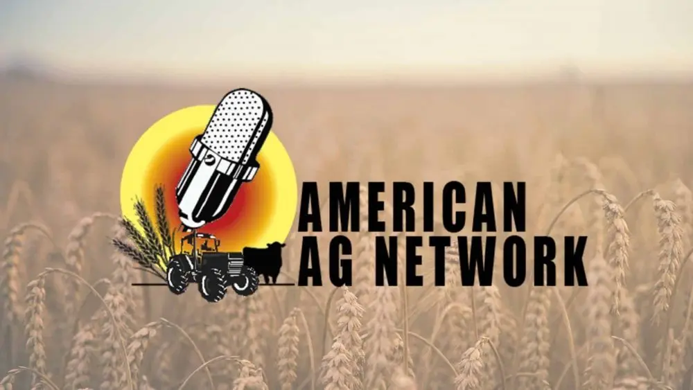 untitled-design-5-1000x563487997-1