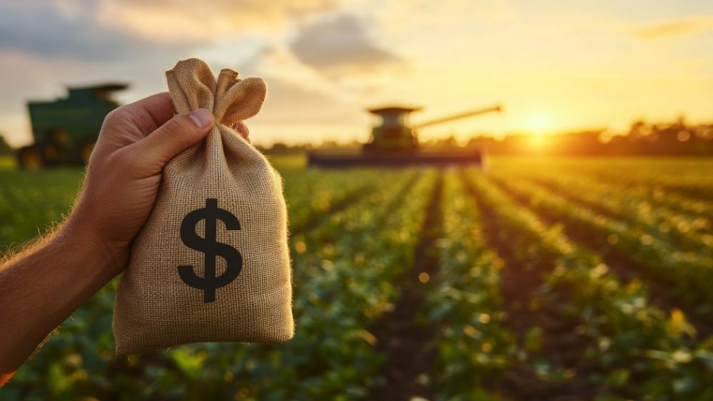 Some Banks and Analysts Say Bailout Programs Raise Deeper Concerns For Farmers