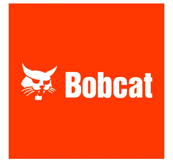 bobcat