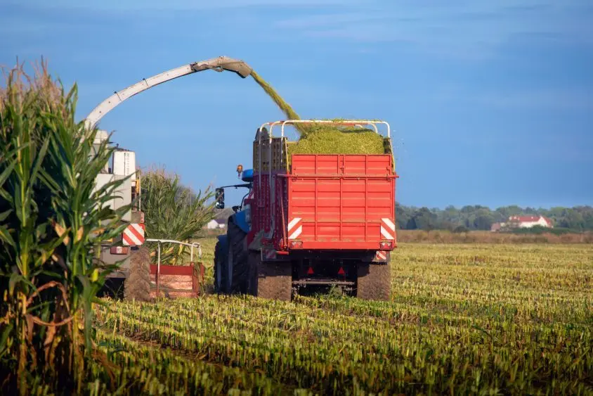 adobestock_617891442-844x563615982-1