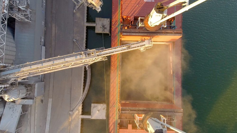 U.S. Soy Exports Continued to Grow in Marketing Year 2024/25