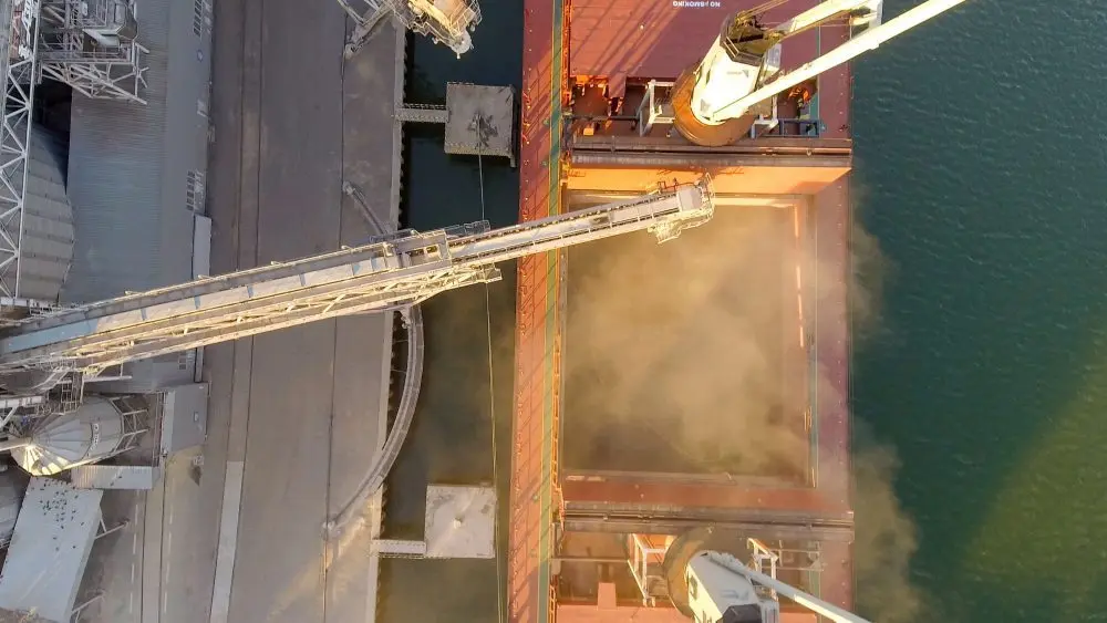 unnamed-8-1000x563816943-1