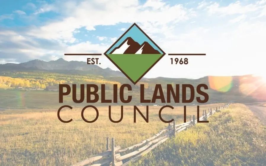 web-photo-template-1020x640-7-898x563926565-1