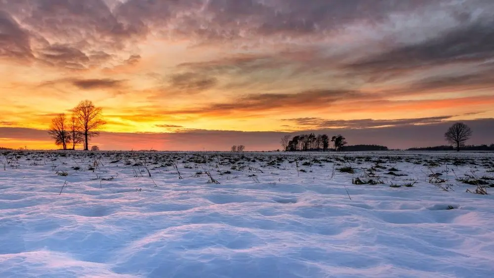 web-photo-template-onecms-1000-x-563-px-2025-12-08t114145-055309369