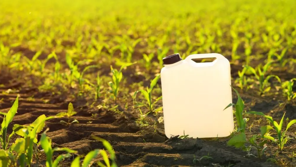 web-photo-template-onecms-1000-x-563-px-52348201