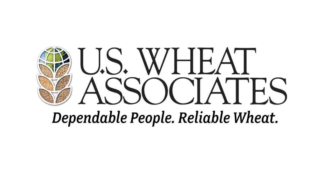 web-photo-template-onecms-1000-x-563-px-26645263