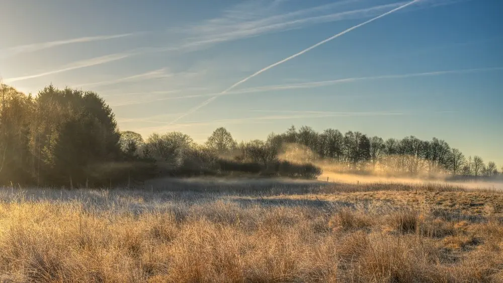 web-photo-template-onecms-1000-x-563-px-38679738