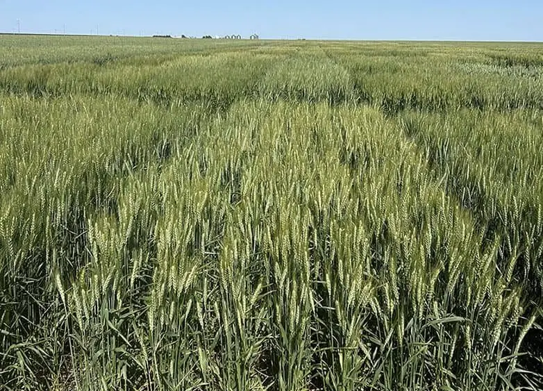 unnamed-2025-10-15t144851-178413566