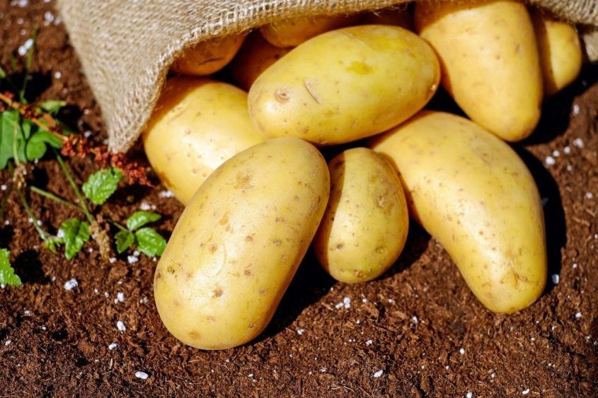 Hoeven and King Call on ITC to Investigate Unfair Trade Practices by Canada Impacting U.S. Potato Producers