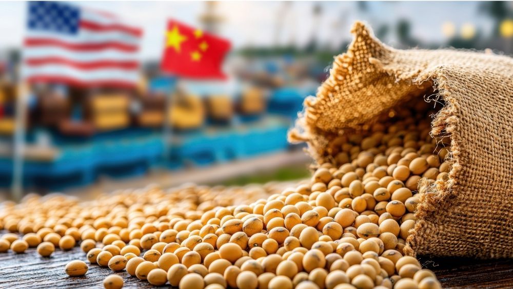 U.S. Soybean Shipments to China Rise as Summit Delay Clouds Trade Outlook