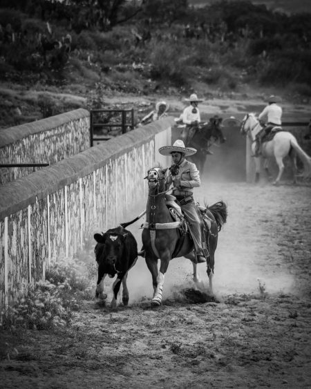 Weather, Soyoil Strength, and Border Talk Drive Markets