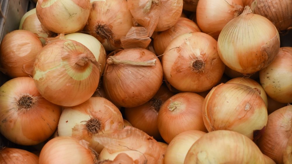 Cramer Calls on USDA, USTR to Support U.S. Onion Growers, Ensure Fairness and Safety in North American Food Supply Chain