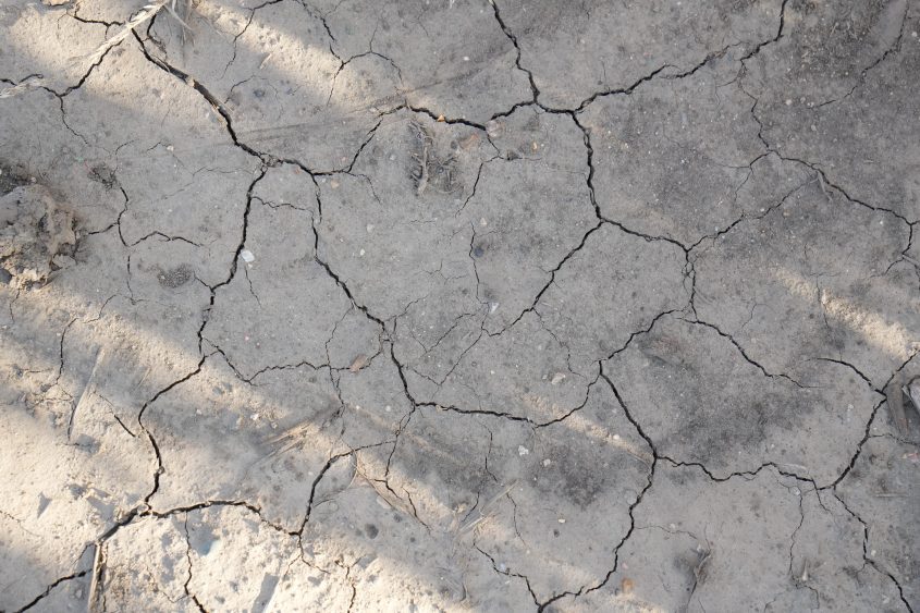 Dry Plains, Saturated Midwest Create Challenging Start to Spring Planting