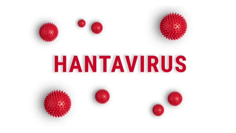 Hantavirus