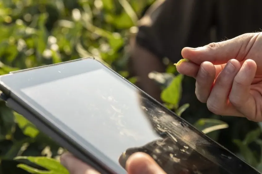 ipad-and-insect_48744013707_o-845x563369535-1