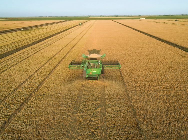 Global Rice Production Forecast to Decline for First Time in 11 Years