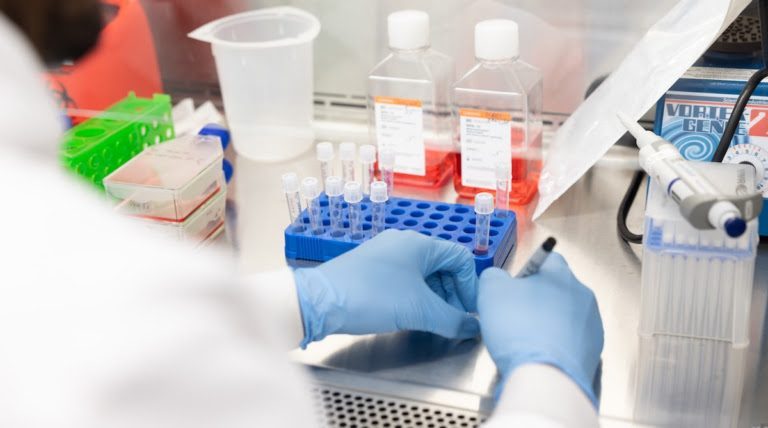SDSU Researchers Develop Vaccine for Destructive Poultry Virus