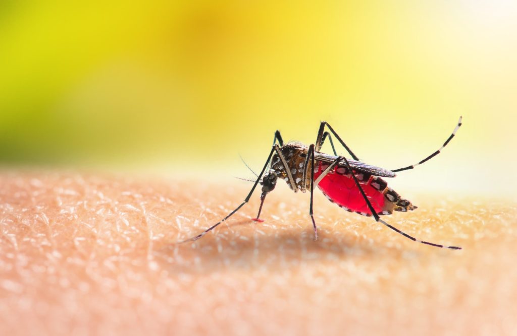 West Nile Virus Detected In South Dakota