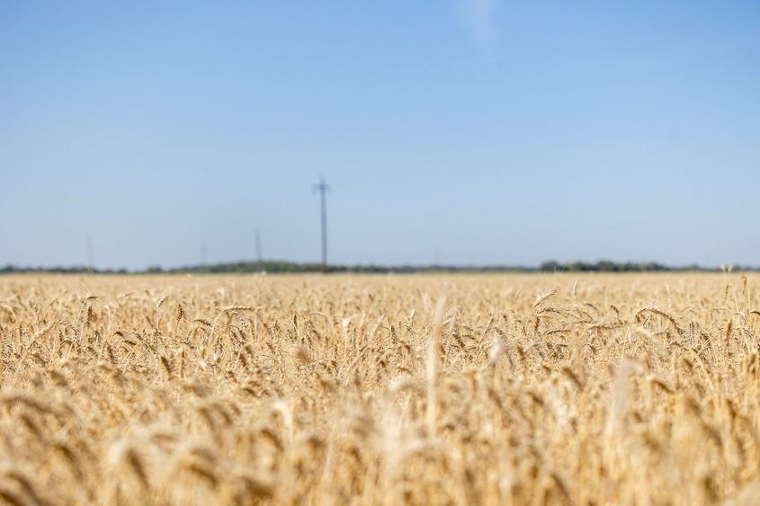 The National Wheat Foundation Hosts Annual Farm Tour