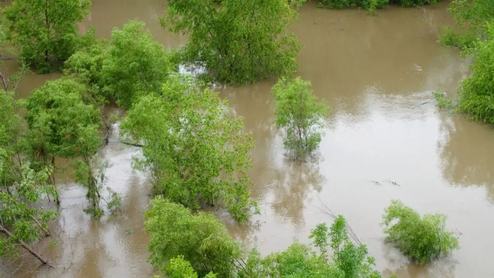 flood