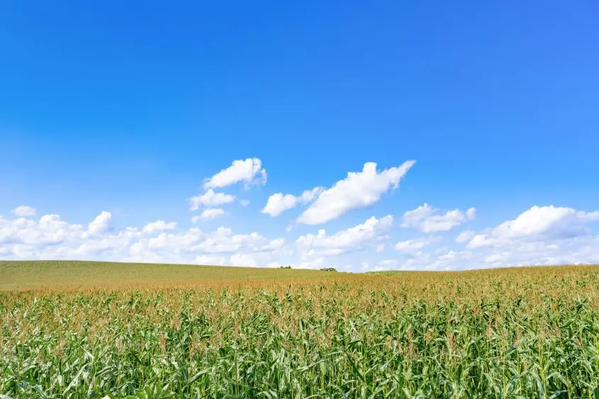 adobestock_662740436-845x563542826-1