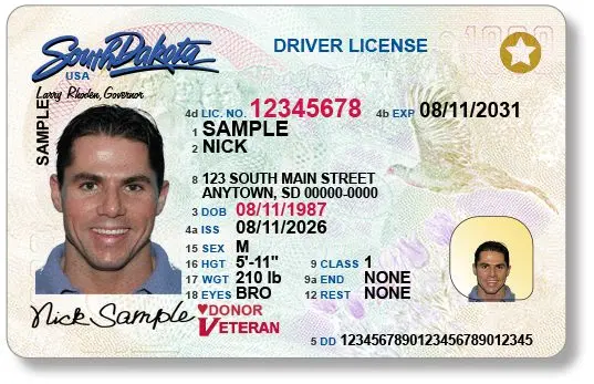 sd license