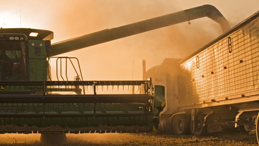 Soy Transportation Coalition Calculator Shows How Higher Diesel Costs Could Change Where Farmers Deliver Grain