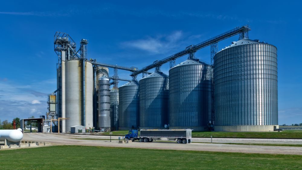 Zuzolo: Fund-Led Wheat Slide Masks a Tighter Corn Story