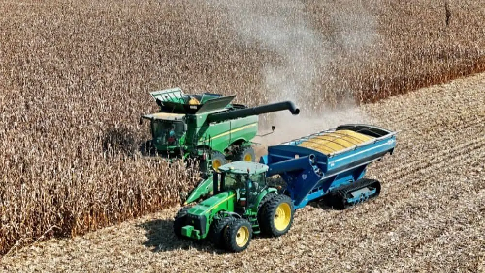 Doherty: No Clear Low Yet in Corn and Wheat as Harvest Pressure Builds ...