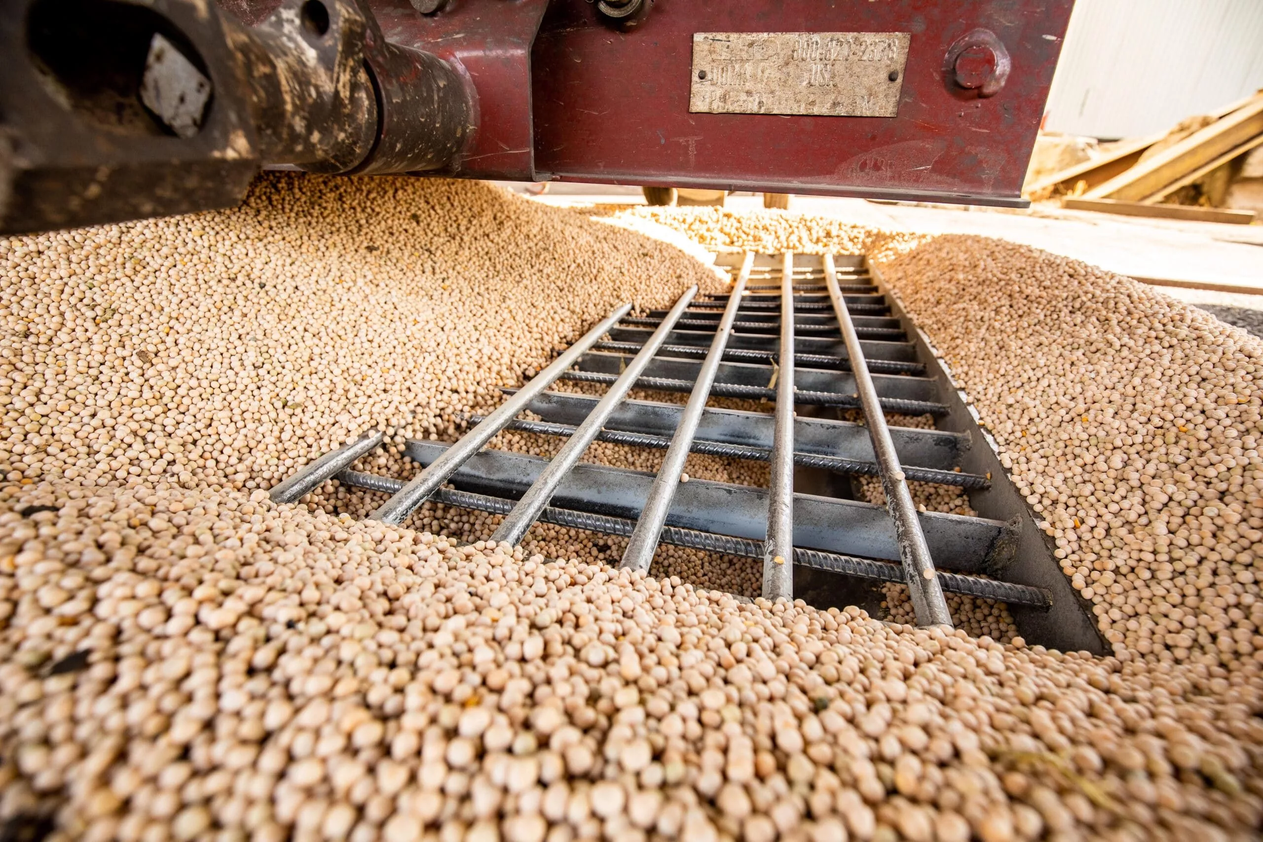 20200820_14-1-scaled-2