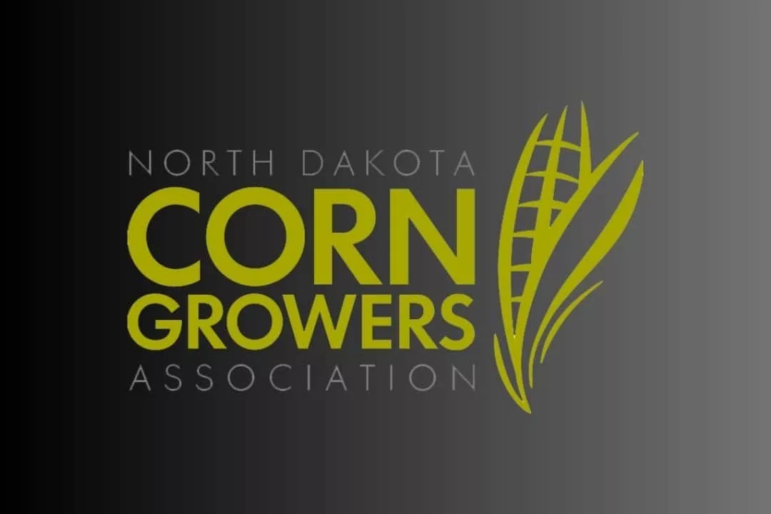 untitled-1080-x-860-px-1080-x-720-px-40