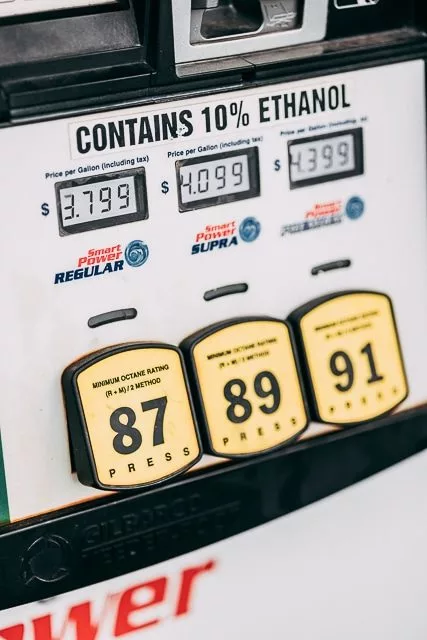 fallphotosafari-9-22-23-website-9