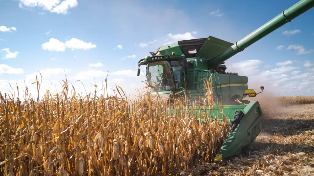 bushel-image-1
