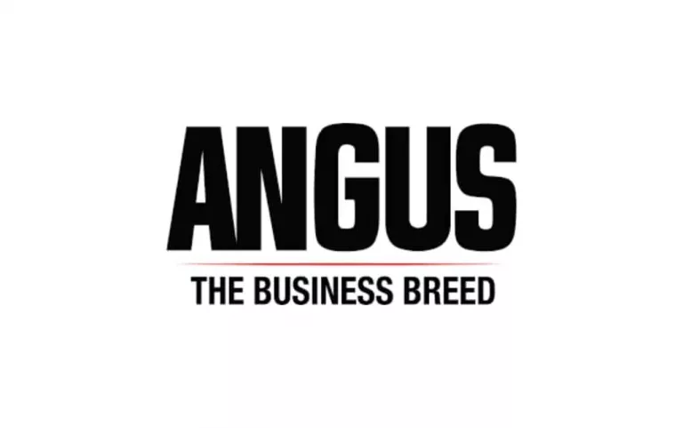 basic-logo-background-template-for-web1021-x-640-px-30