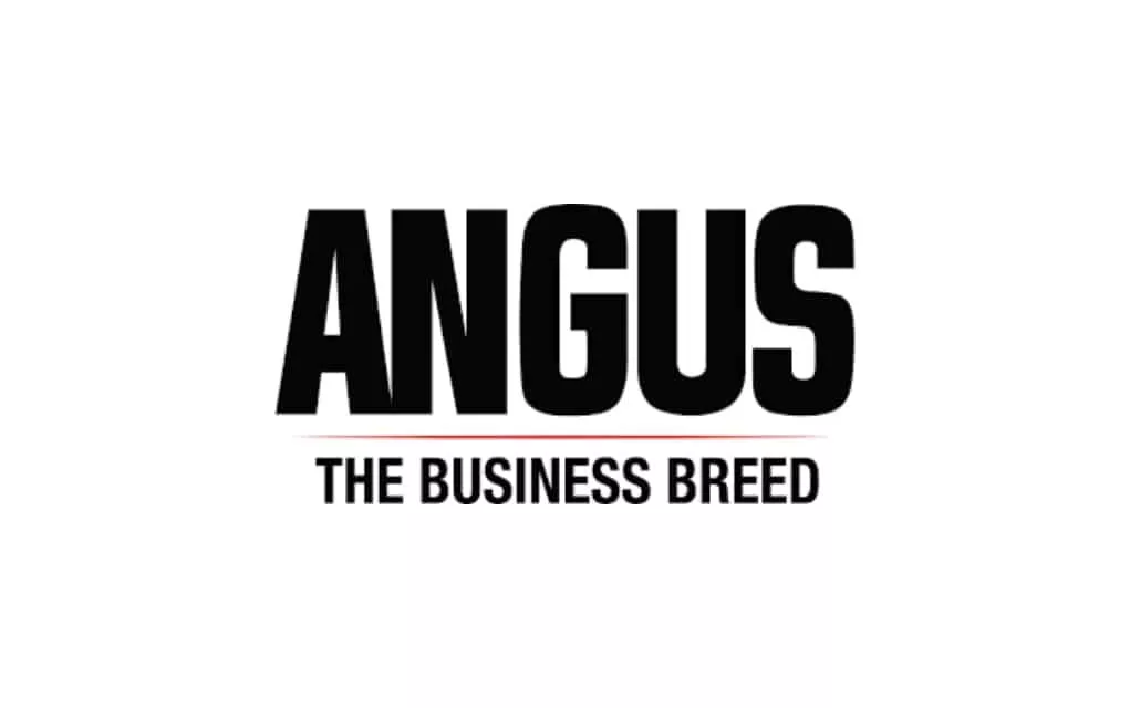 basic-logo-background-template-for-web1021-x-640-px-30