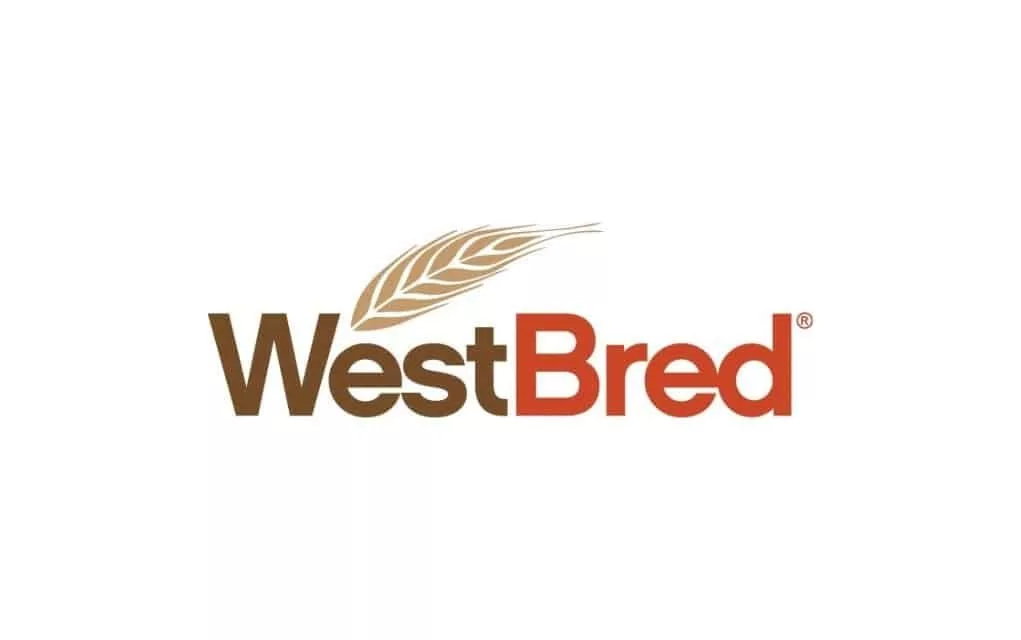 basic-logo-background-template-for-web1021-x-640-px-1021-x-640-px-4