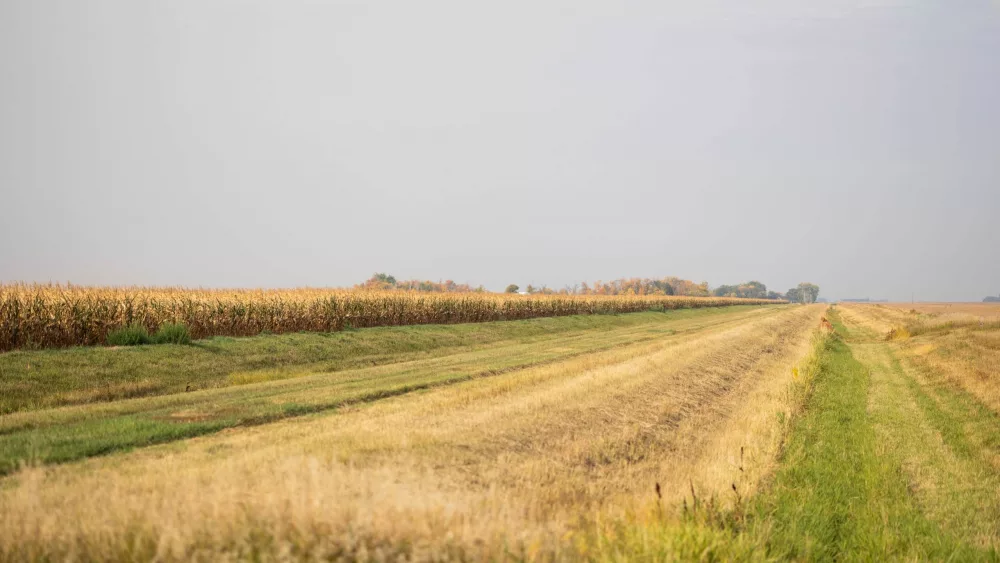 fallphotosafari-9-22-23-25