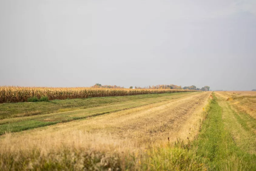 fallphotosafari-9-22-23-25