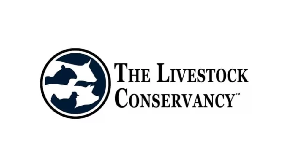 web-photo-template-1020x640-38