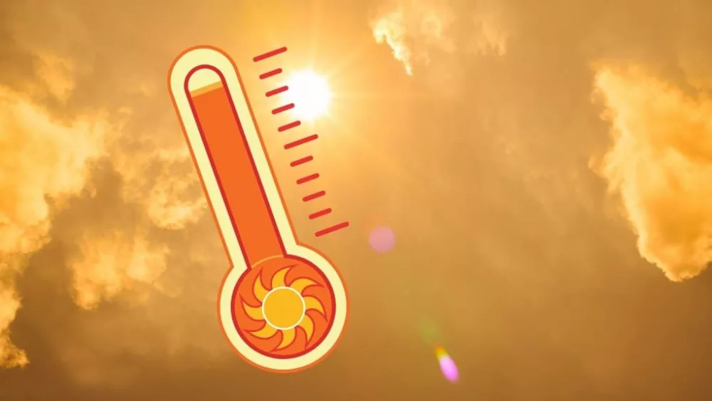 web-photo-template-1020x640-41