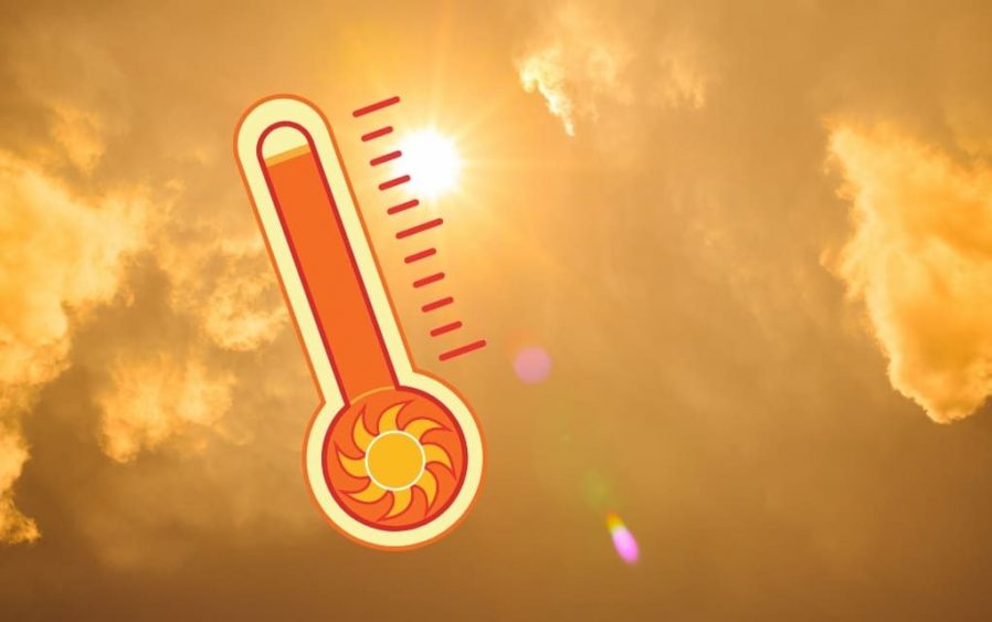 El impacto del clima en los mercados agrícolas: ¿Qué esperar para los precios de granos?