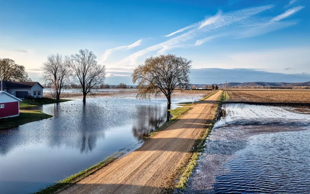 pexels-tomfisk-17667012