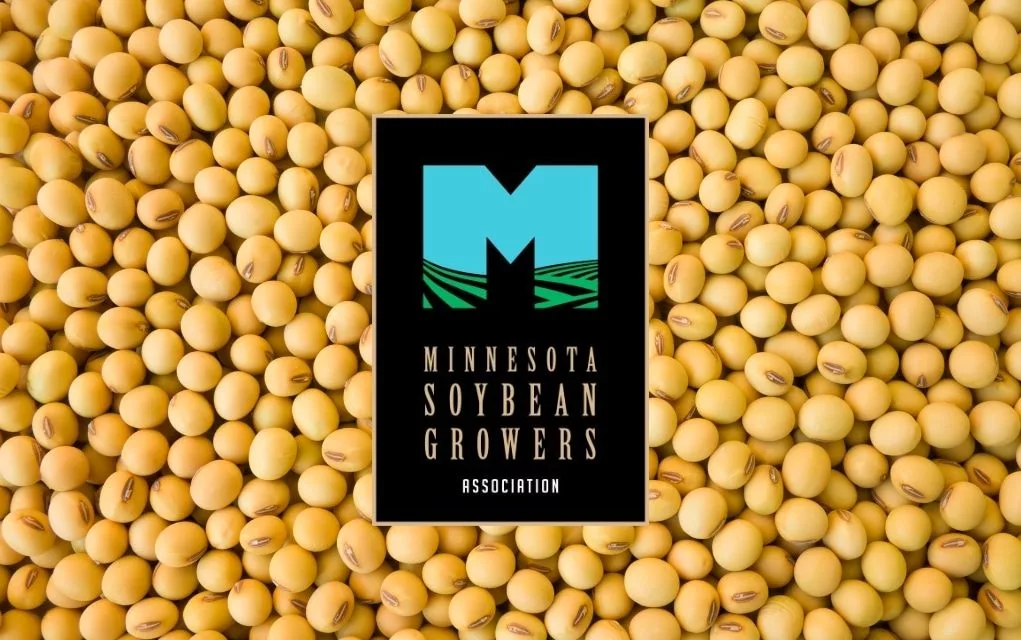 web-photo-template-1020x640-86