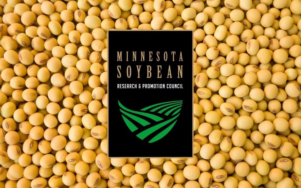 web-photo-template-1020x640-95