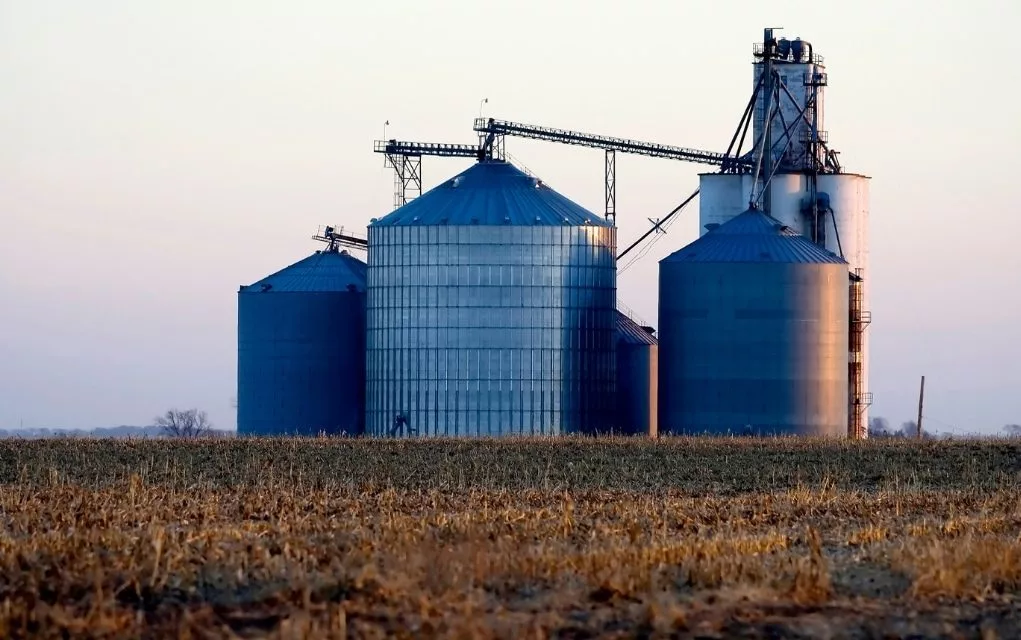 web-photo-template-1020x640-2024-08-30t100938-433