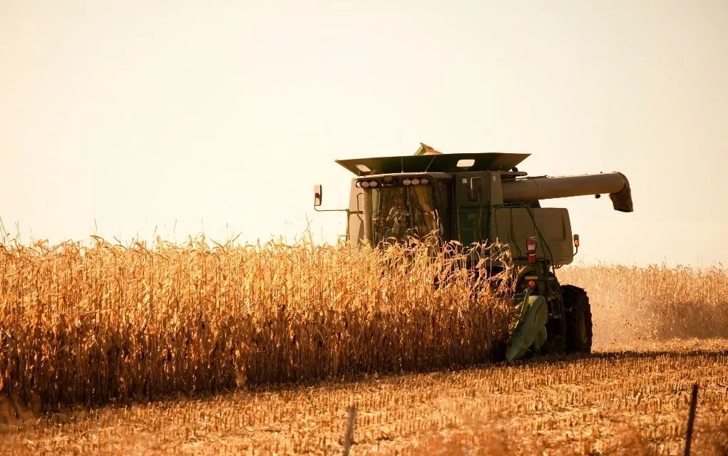 web-photo-template-1020x640-2024-08-30t100917-829