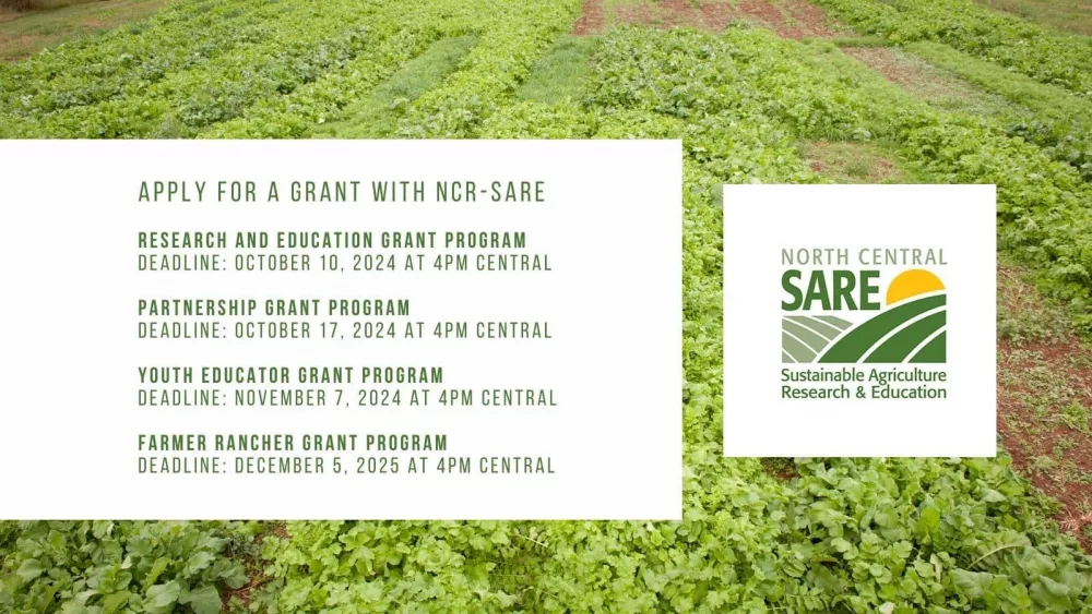 open-grant-programs-2024-social-media