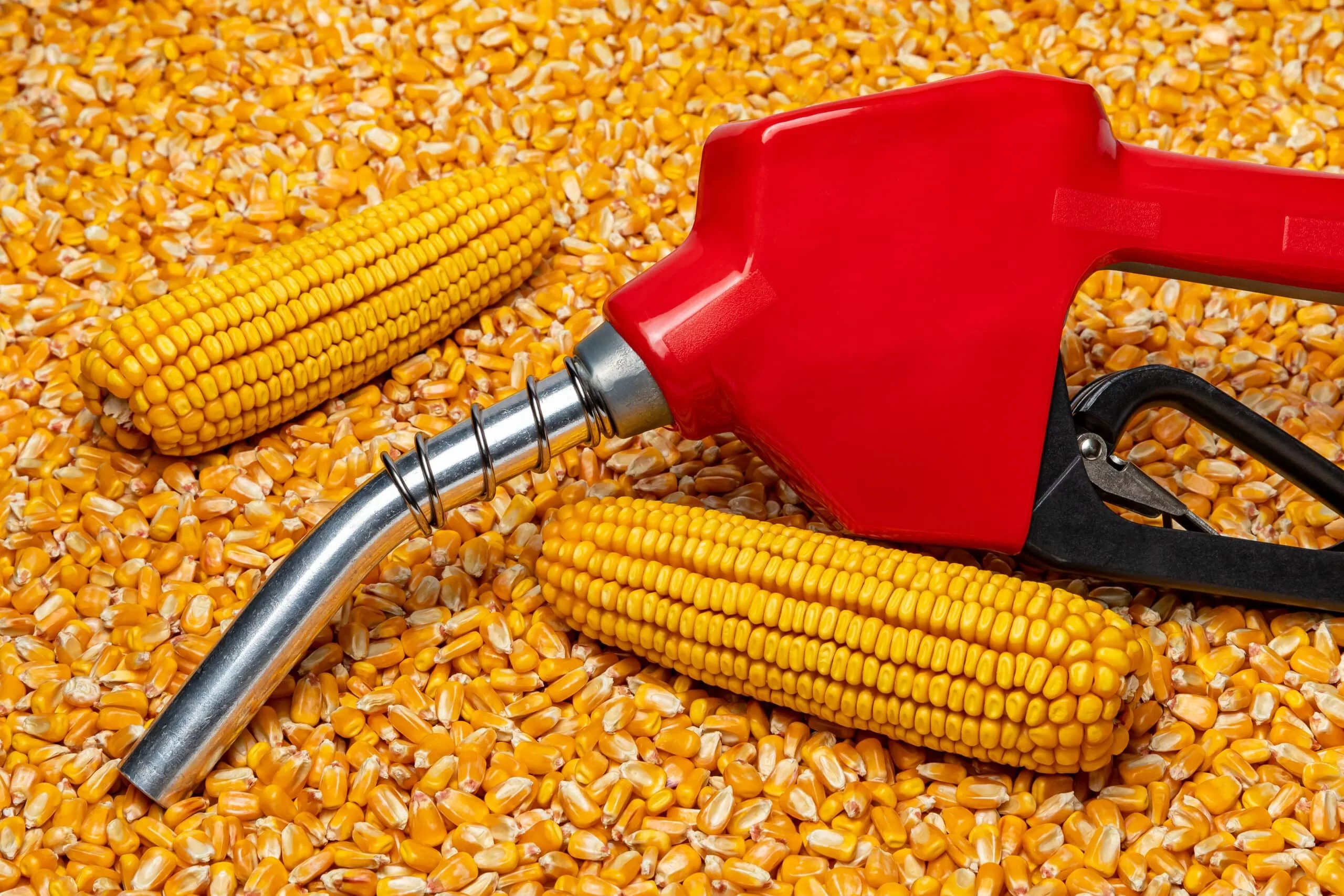 ethanol-gasoline-fuel-nozzle-and-corn-kernels-biofuel-agriculture-and-fuel-price-concept