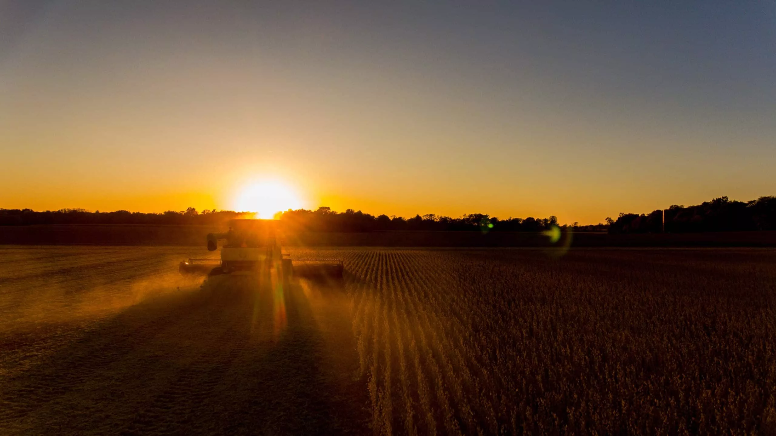 farmer-harvesting-soybeans-in-midwest