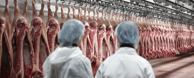 pic_compass_news_release_photo